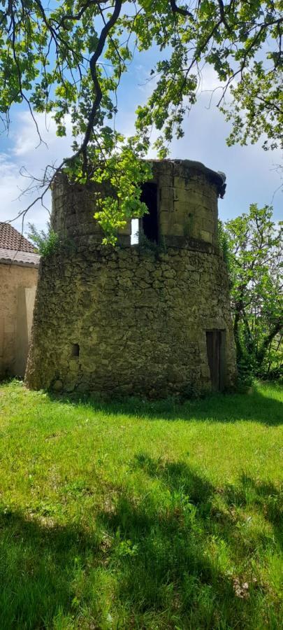 Moulin De Bigorre Villa Saint-Genès-de-Castillon Kültér fotó